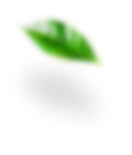 leaves-advantages